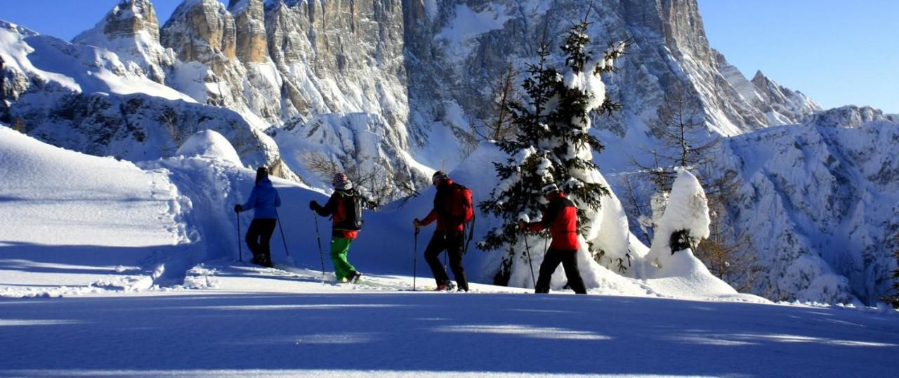 Petit Arnica Leilighet Selva di Cadore Eksteriør bilde